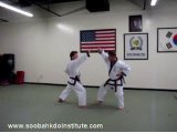 3 Step Sparring (Sam Soo Sik) Series #1 - #10 & Five Drills