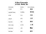 Eight Key Concepts of Soo Bahk Do