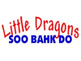 Little Dragons Online Training Guide