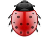 Bugs Problems and Feature Suggestions