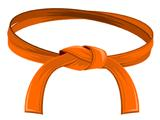 Orange Belt