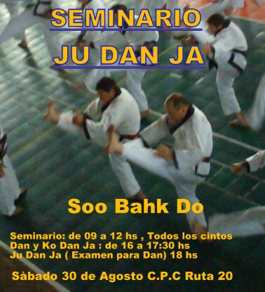 Seminario - Ju Dan Ja