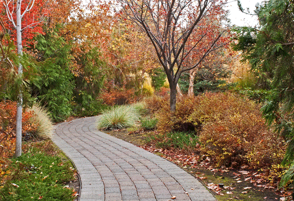 autumn-pathway-1013tm-pic-1519_600x410.p