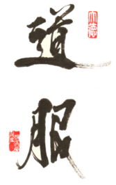 dobok-166x300.png