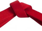 Camas Soo Bahk Do - Red Belt